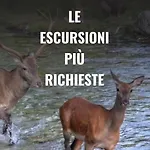 Bed & Breakfast Il Glicine Campagnolo Atessa