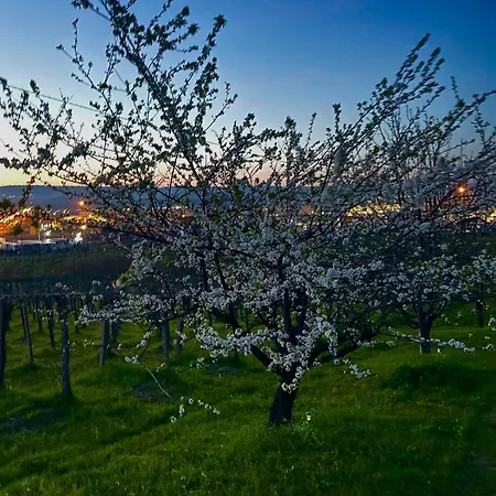 Il Glicine Campagnolo Panzió