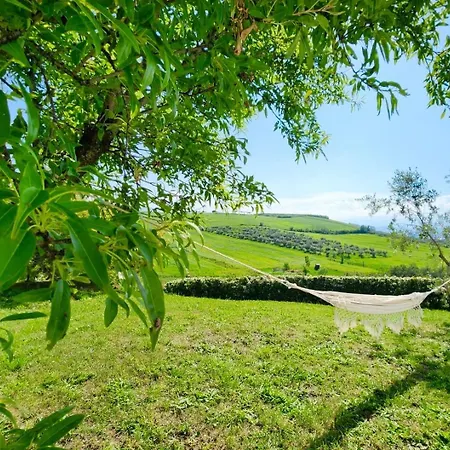 Il Glicine Campagnolo Bed & Breakfast