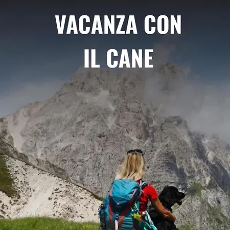 Bed & Breakfast Il Glicine Campagnolo 3*
