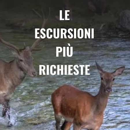 Bed & Breakfast Il Glicine Campagnolo Atessa