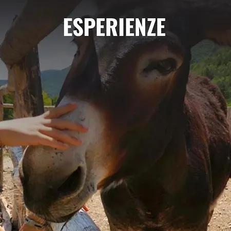 Il Glicine Campagnolo Bed & Breakfast Atessa