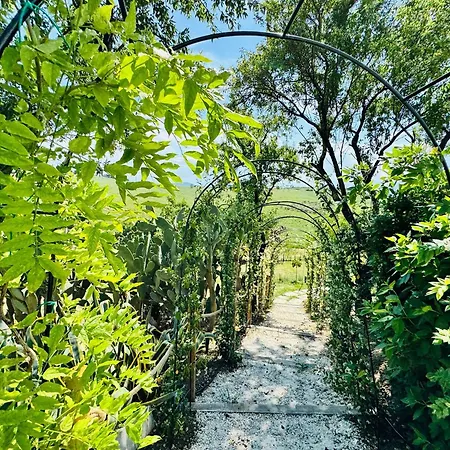 Il Glicine Campagnolo Bed & Breakfast Atessa