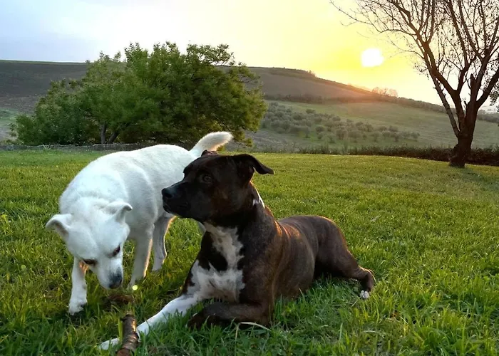 Il Glicine Campagnolo