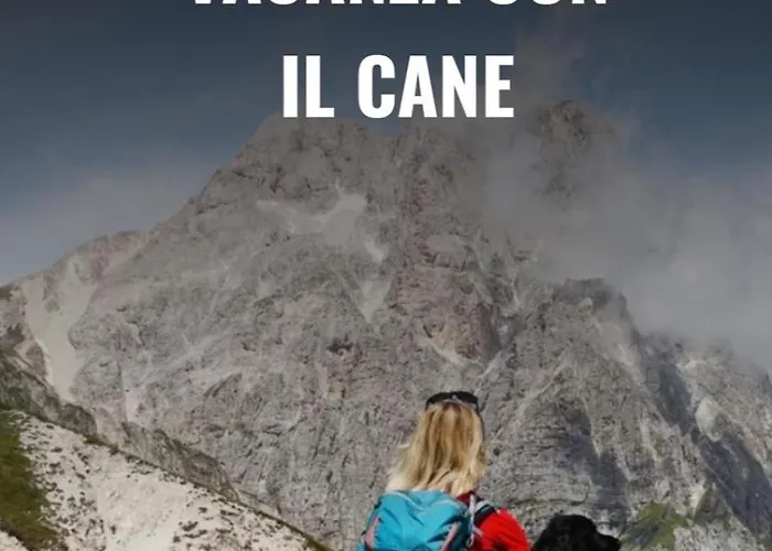 Bed & Breakfast Il Glicine Campagnolo 3*