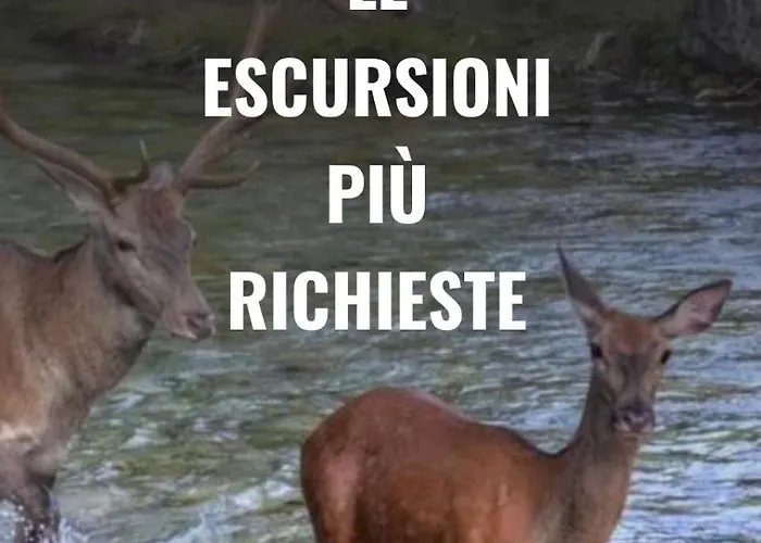 Bed & Breakfast Il Glicine Campagnolo Atessa