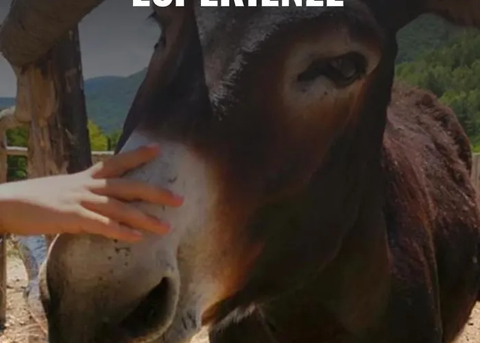 Il Glicine Campagnolo Bed & Breakfast Atessa